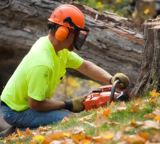 tree services Carlton